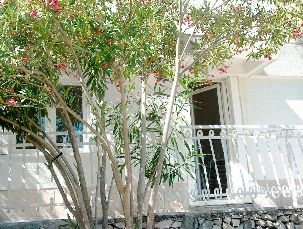 Villa Blanka Donji Okrug  ห้อง รูปภาพ